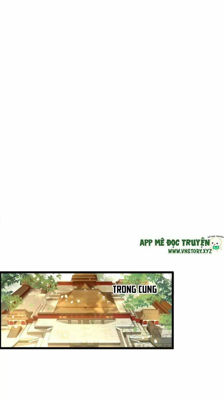 phượng hoàng vu phi chapter 87 11