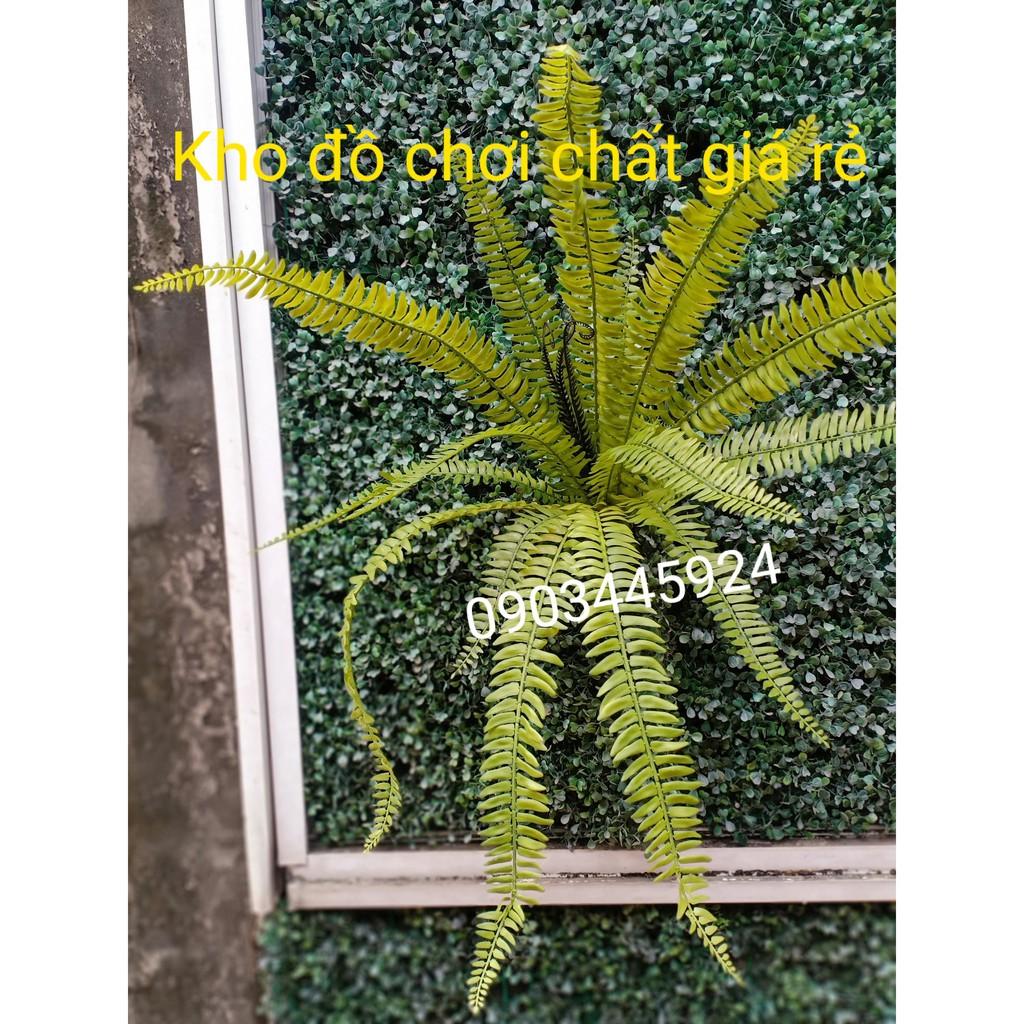 Dương xỉ casu Cao Cấp dài 71cm-Cành Lá Giả