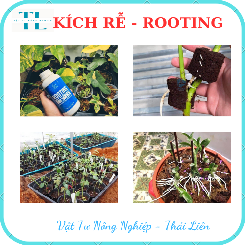 [Siêu kích rễ] Dung Dịch Kích Rễ ROOTING BA Dùng Cho Sen Đá, Kiểng Lá, Hoa Lan Và Cây Cảnh - Chai 500ml