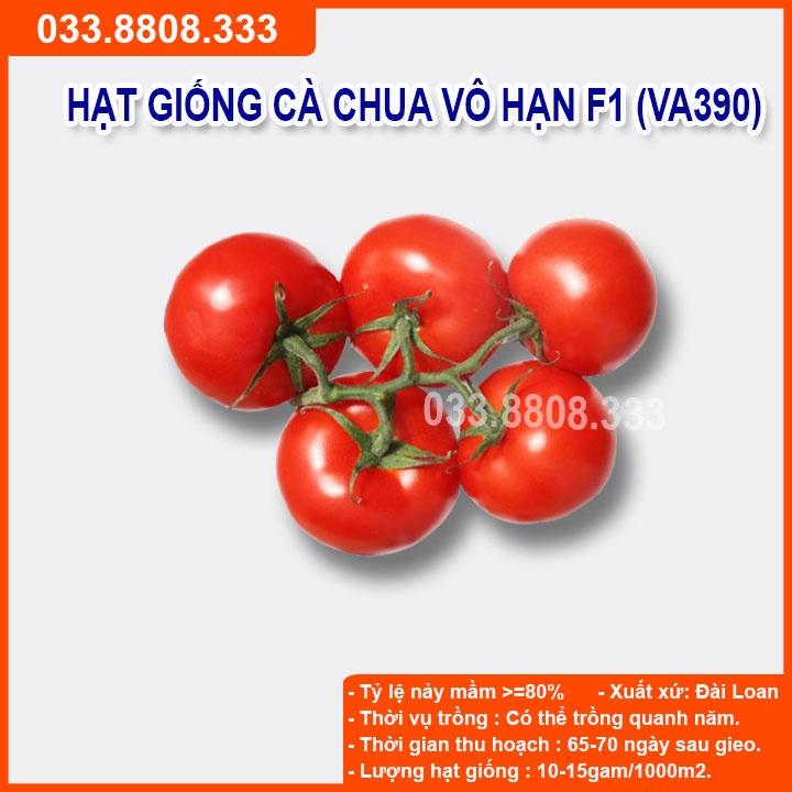 Hạt giống Cà Chua Vô Hạn gói 2.000 Hạt - Năng Suất Cao Kháng Bệnh Tốt