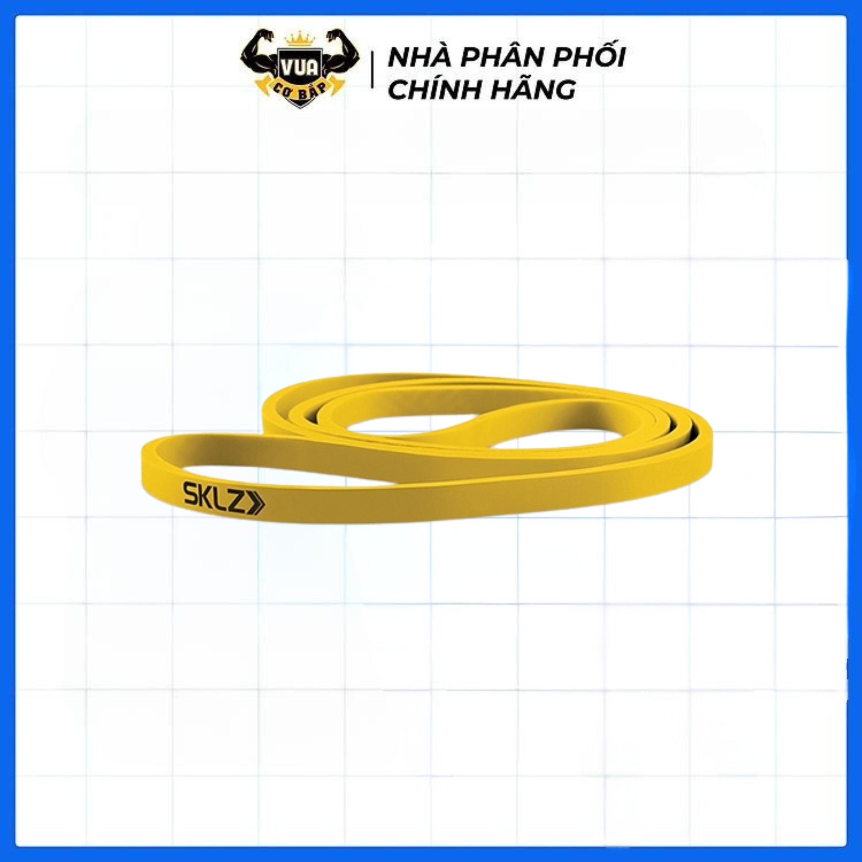 Dây kháng lực tập gym PRO BANDS SKLZ