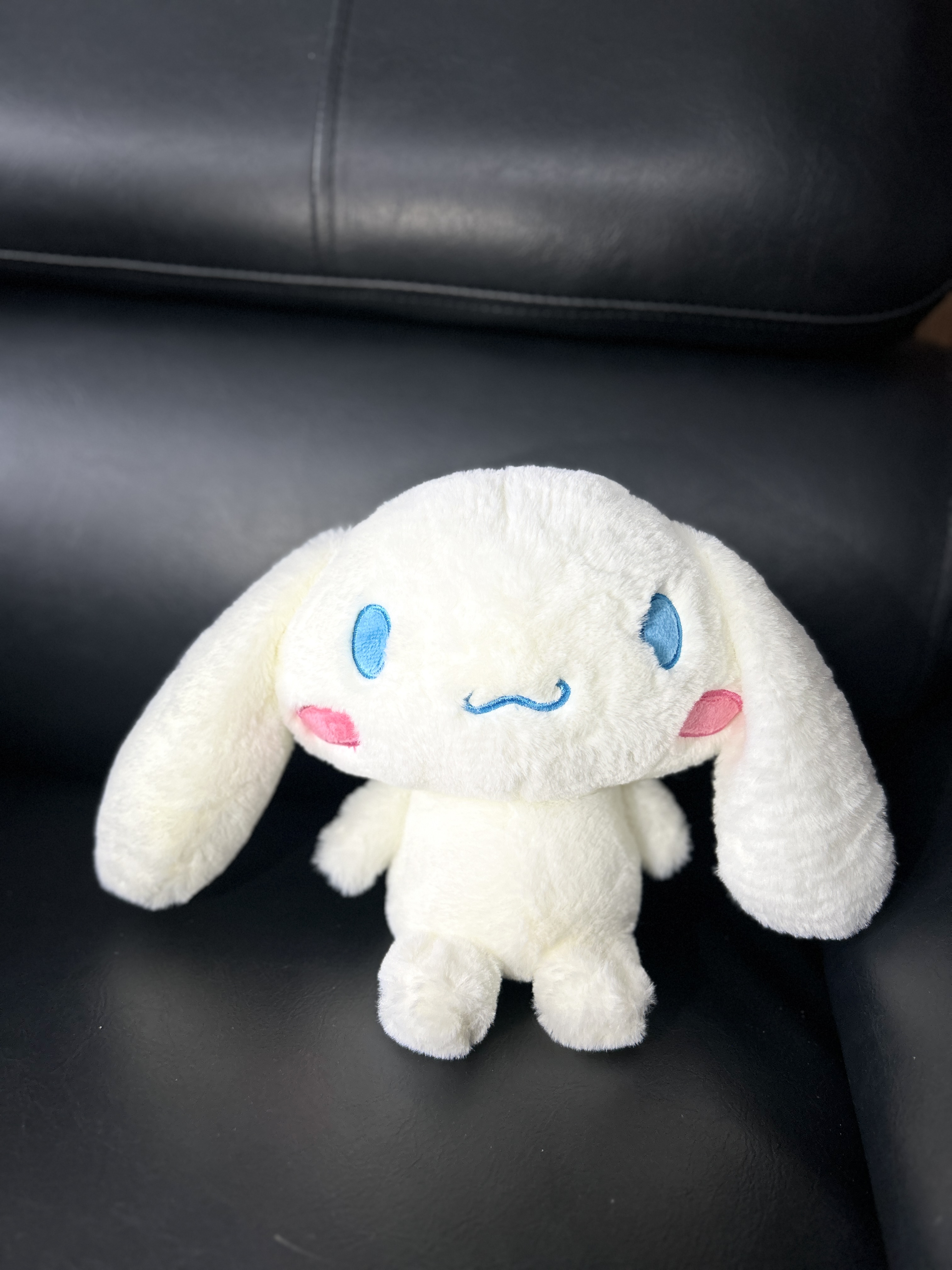 Gấu Bông Cinnamoroll Size S Cho Bé Cao Cấp, Thú bông Cinnamoroll cho bé, Gấu Bông Nhỏ, Gấu bông Cao Cấp Mềm Mịn Size 25x20cm, Quà tặng đáng yêu - Sản phẩm chính hãng, Phân phối bởi Teenbox.