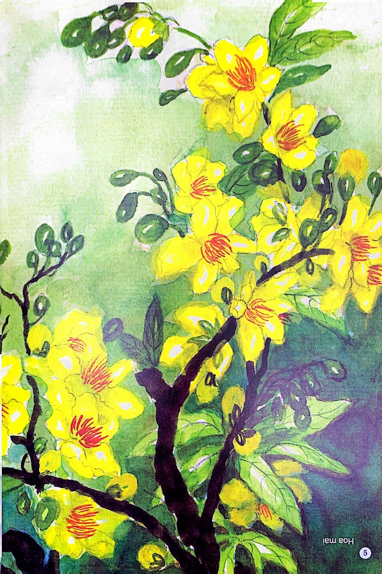 Sách Câu Đố Dân Gian Bằng Tranh - Hoa Quả (Tái Bản 2019)