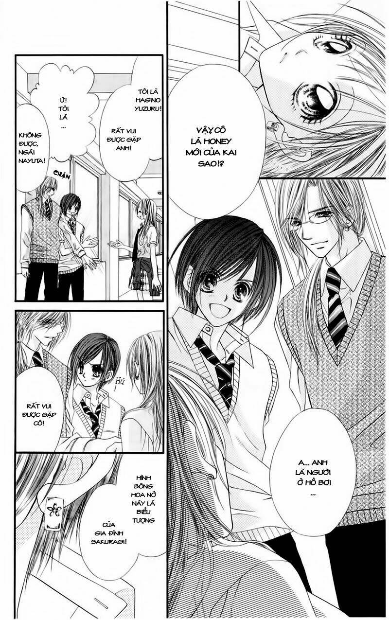 honey x honey drop chapter 1 41