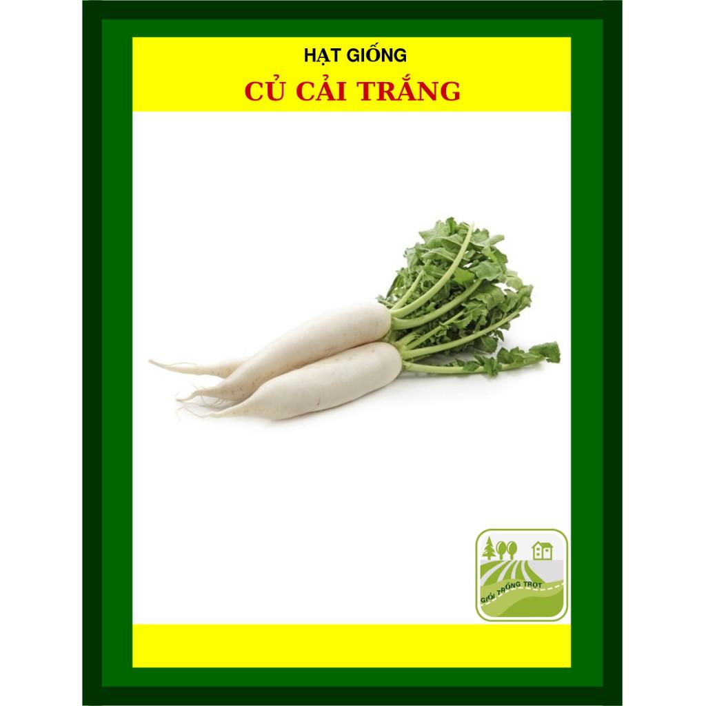 Hạt Giống Củ Cải Trắng 50 Gram