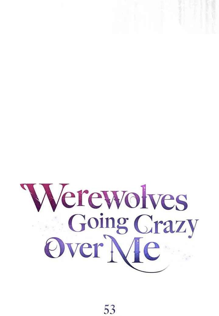 chàng người sói phát điên vì tôi chapter 53 14