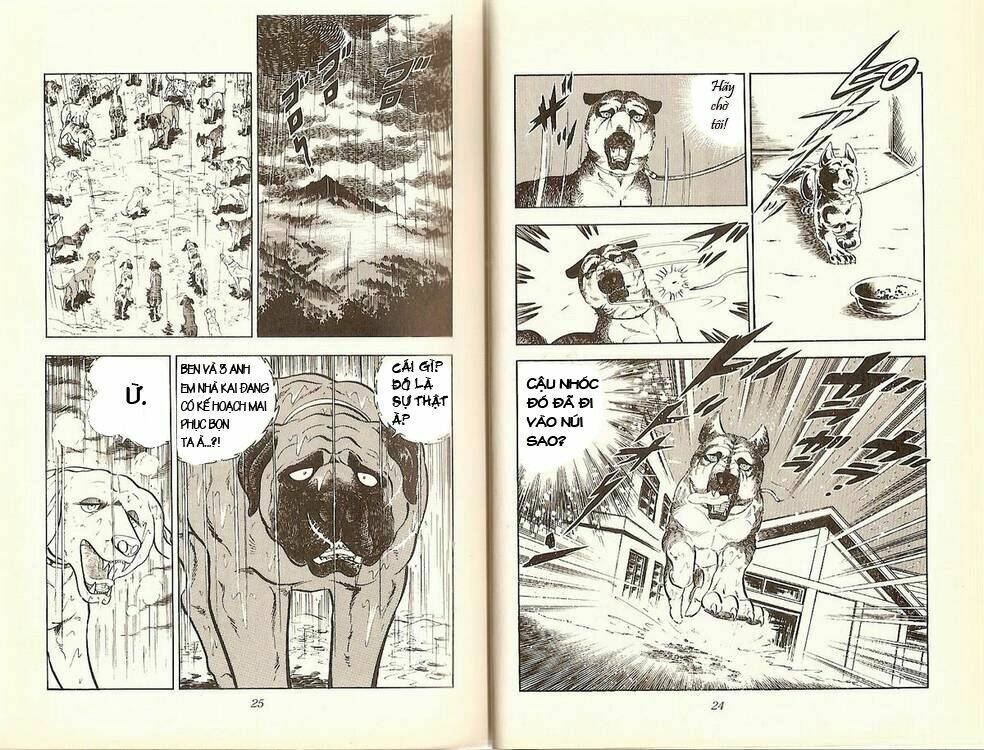 chú chó có nghĩa - ginga nagareboshi gin chapter 13 8