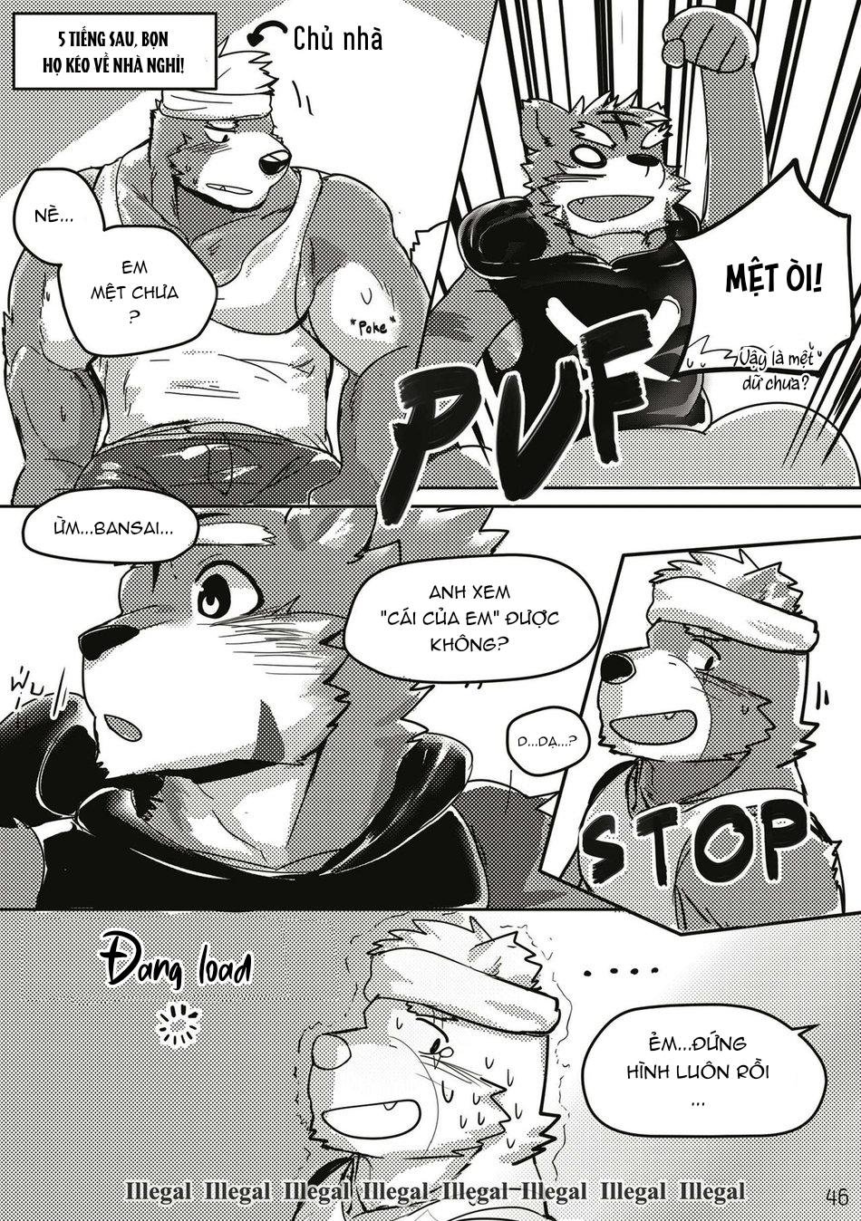 TUYỂN TẬP CU 18CM Chapter 73 Bộ 13 19