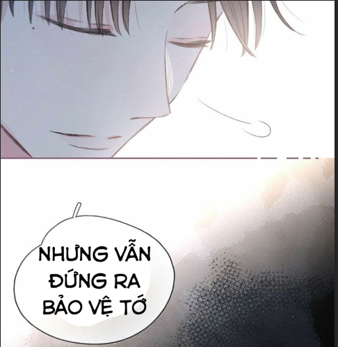 nỗi buồn của hoa cẩm tú cầu chapter 28 18