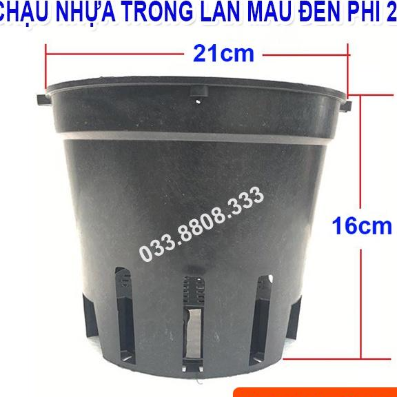 10 CHẬU NHỰA TRỒNG LAN PHI 21 - CHẬU BỀN ĐẸP. CHUYÊN TRỒNG LAN -VTNN - CTC