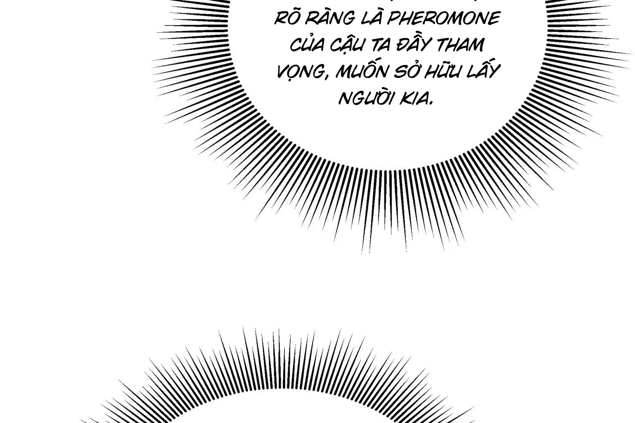 ám ảnh pheromone chapter 58 67