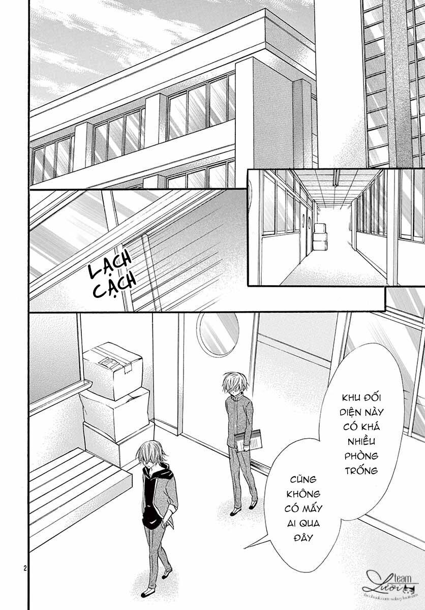 chàng rể giả nhân giả nghĩa chapter 4 2