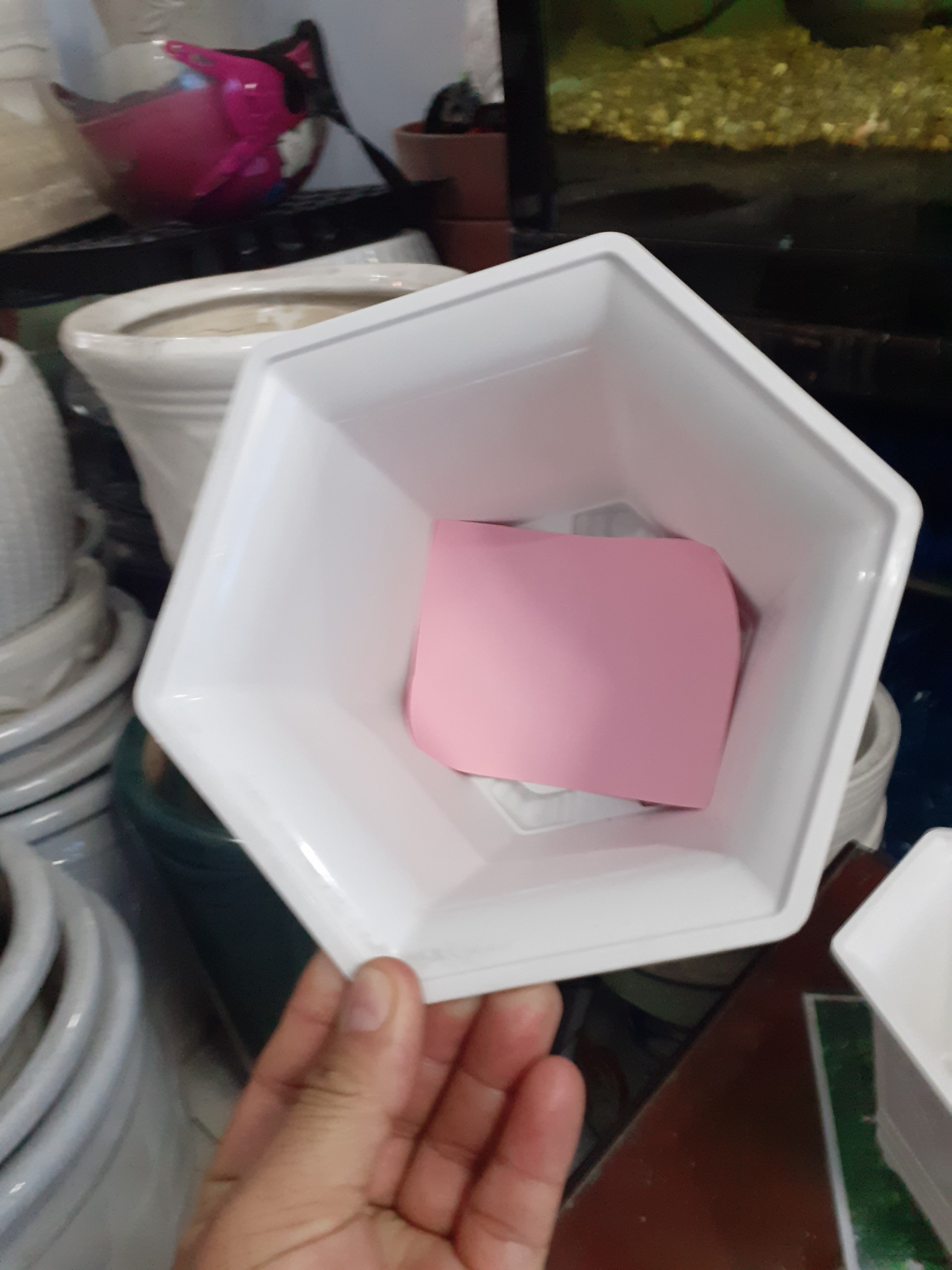 1 cặp chậu lục giác 6 trắng