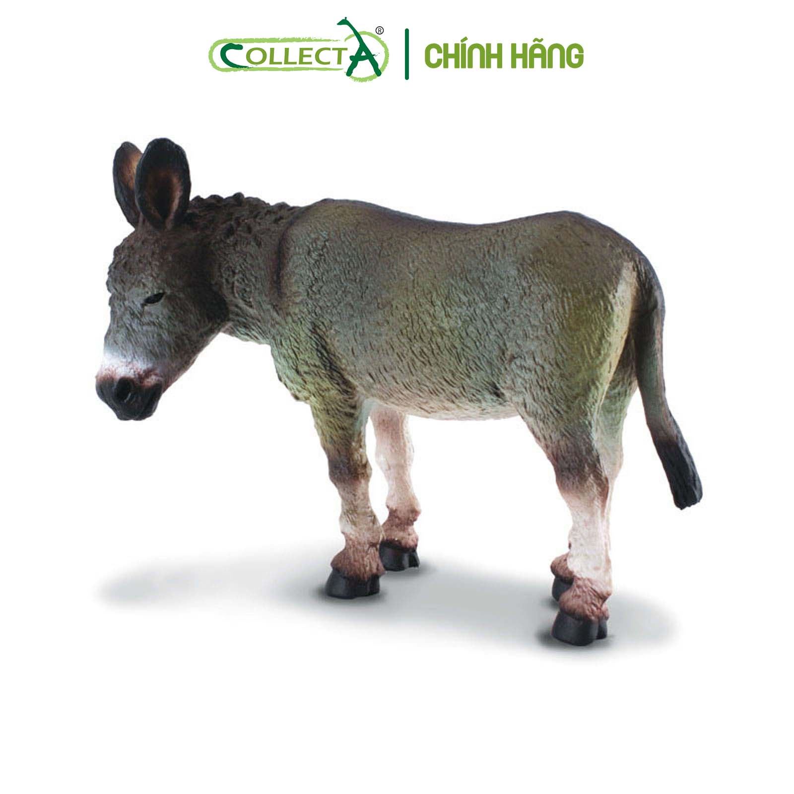 Mô hình thu nhỏ: Lừa - Donkey (Grey), hiệu: CollectA, mã HS 9650100[88115] -  Chất liệu an toàn cho trẻ - Hàng chính hãng