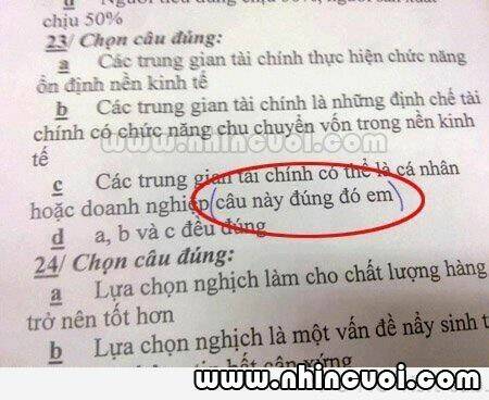 hình ảnh hài hước new chapter 15 27