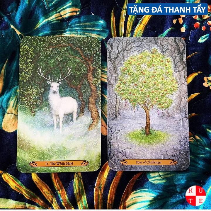 Bài Tarot Forest Of Enchantment 78 Lá Bài Tặng File Tiếng Anh Và Đá Thanh Tẩy