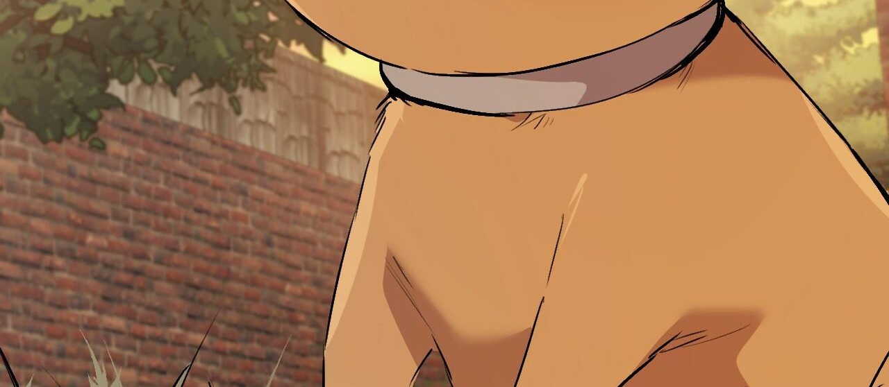 đàn thỏ của habibi chapter 45 267