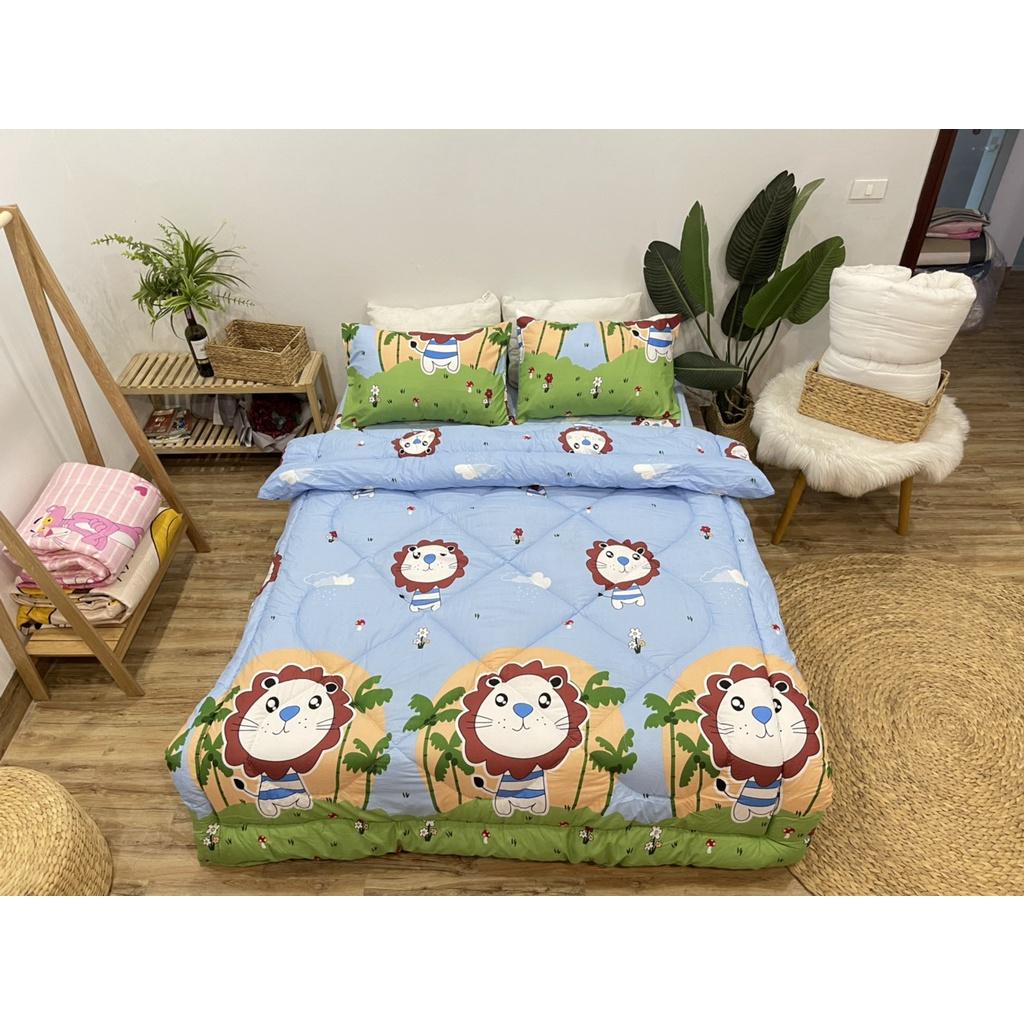 Set phao 5 món