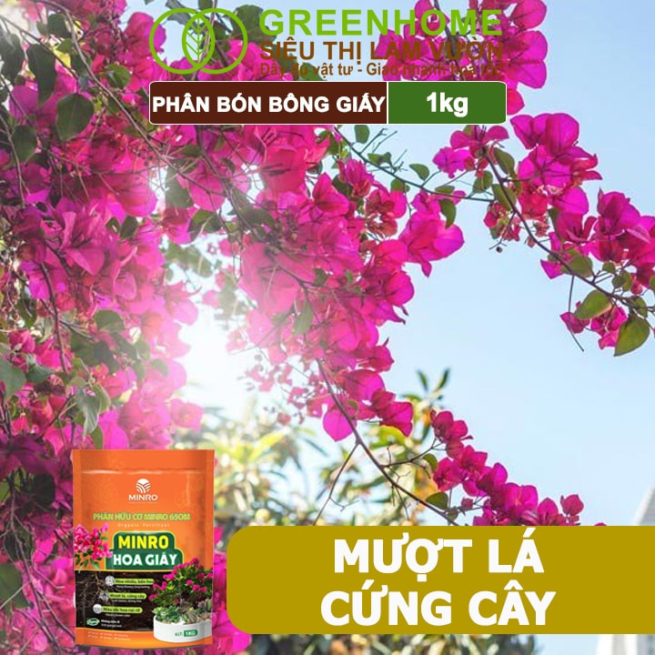 Phân Bón Hoa Giấy Greenhome, Minro, Bao 1kg, Hữu Cơ, Cứng Thân, Tạo Tán, Ra Bông Nhiều, Lâu Tàn