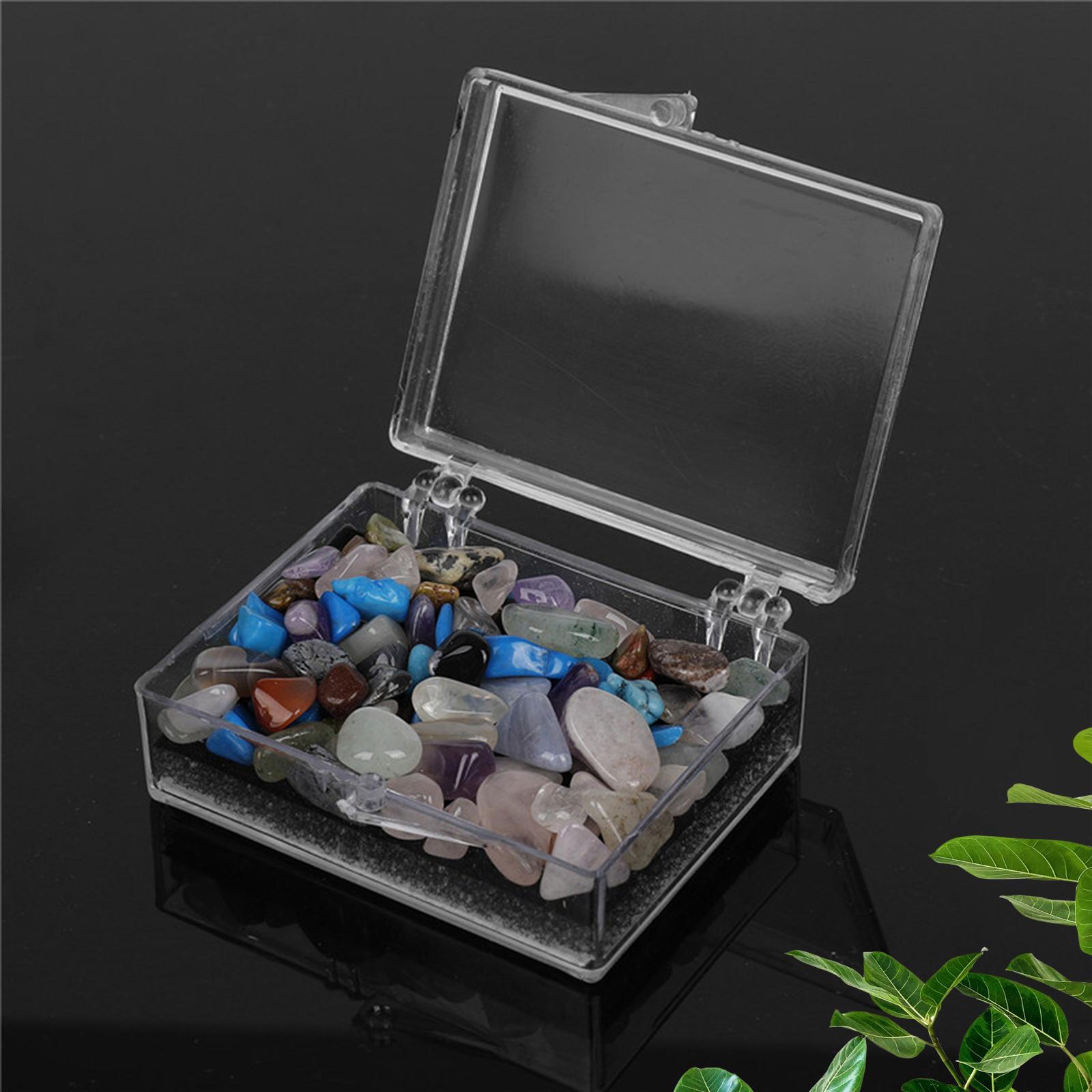 Rock and Mineral Educational Collection Science Ornament Stem for Gift Girls
