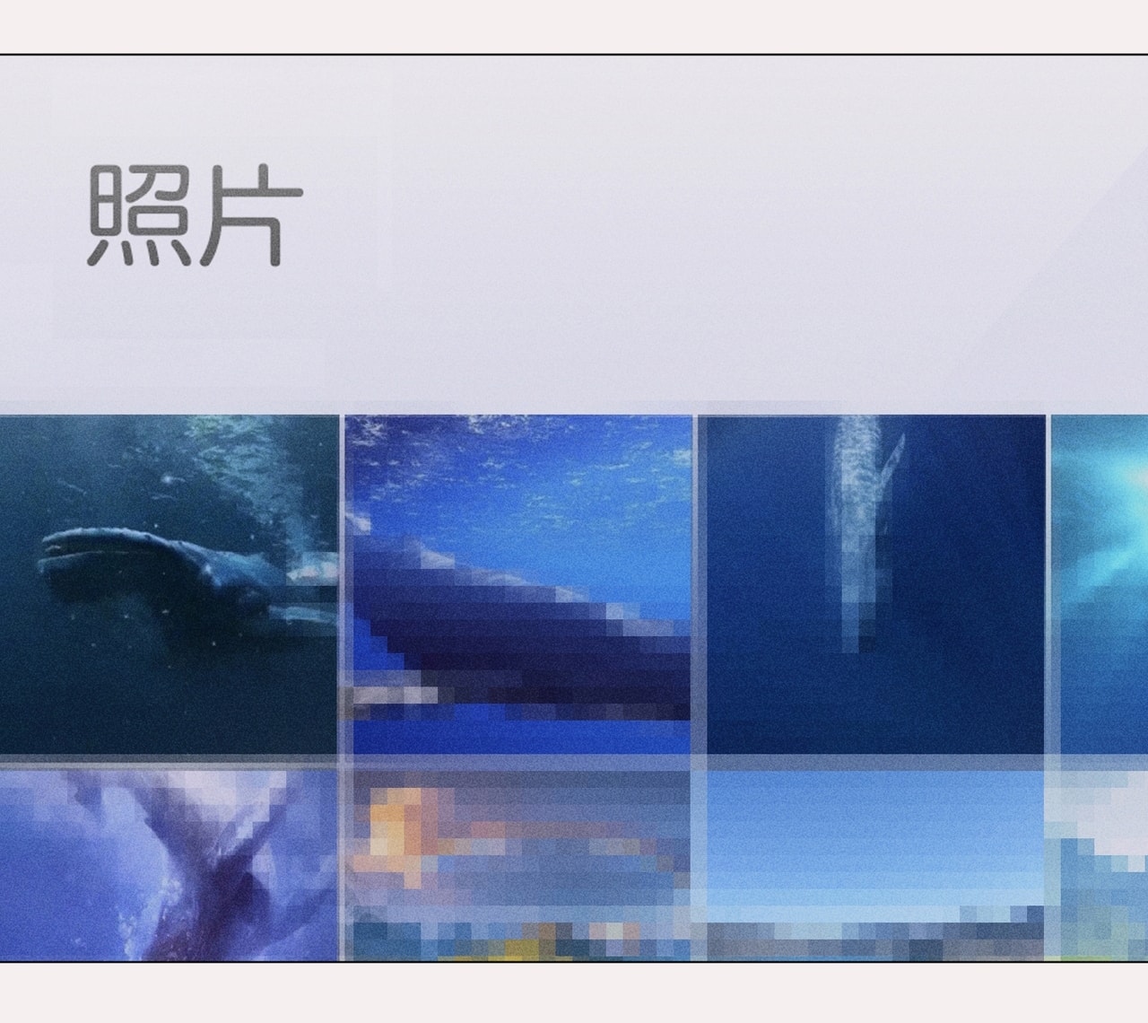 nàng pháp y thân yêu của tôi chapter 83 29