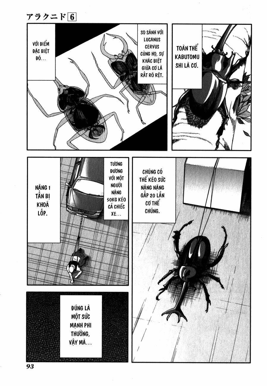 arachnid chapter 28 34