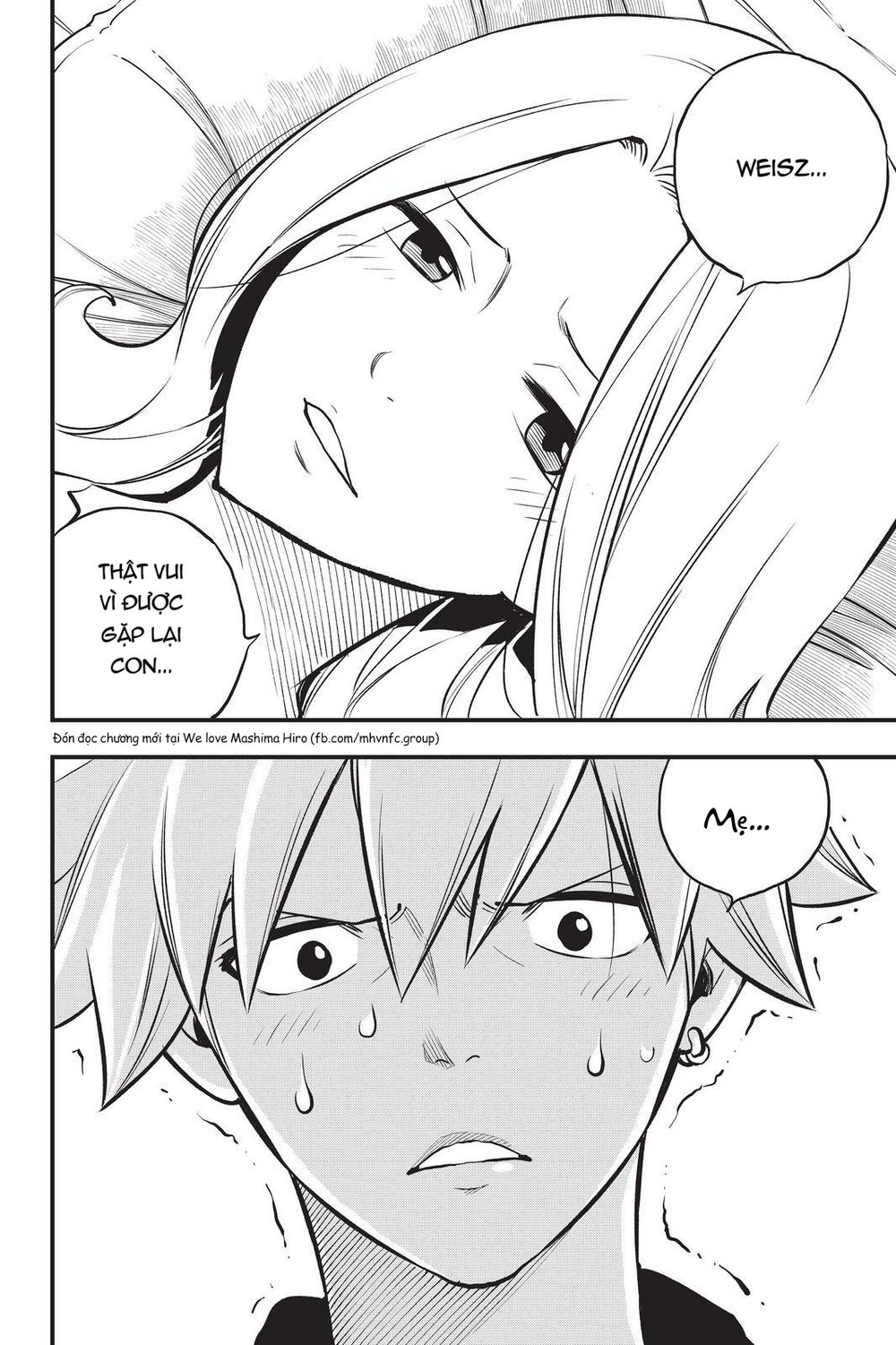 hội pháp sư và thánh thạch rave chapter 191 21