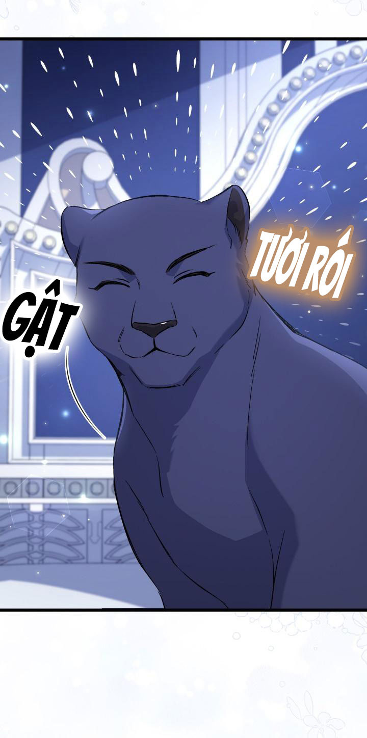 mối liên kết giữa báo đen và bé thỏ chapter 92 61