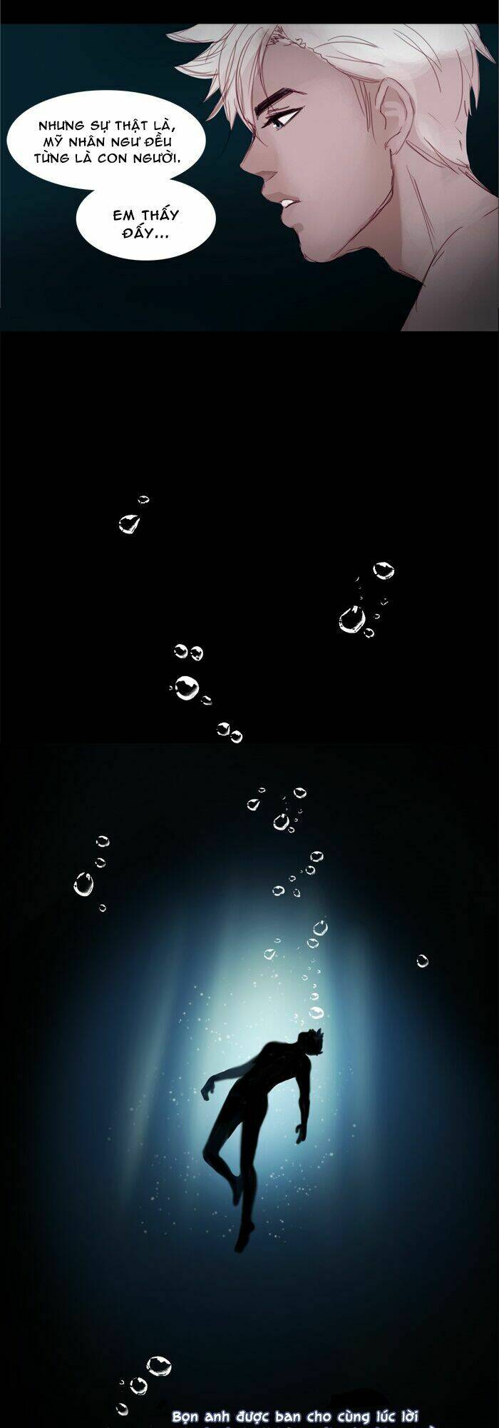 khúc hát người cá siren chapter 5 14