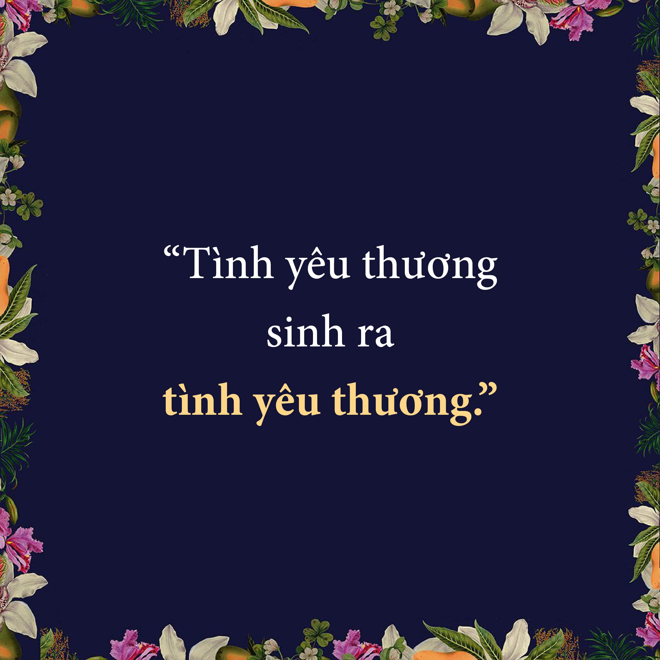 Nơi Vết Thương Ánh Sáng Rọi Vào