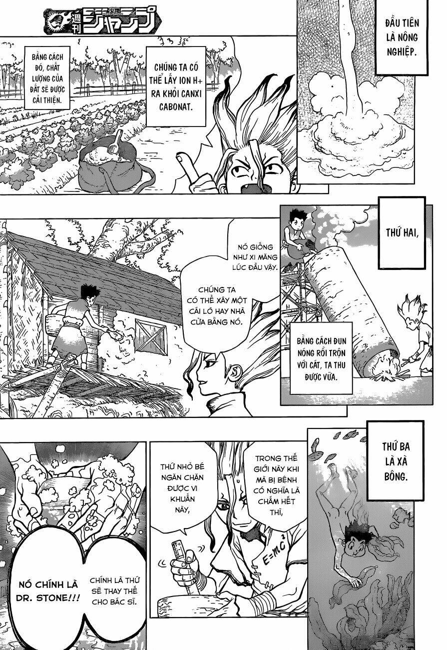 dr.stone - hồi sinh thế giới chapter 4 13