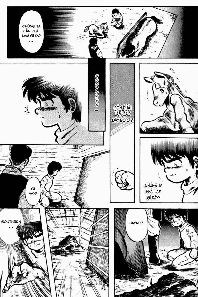 kaze no sylphid - phong mã silphid chapter 2 12