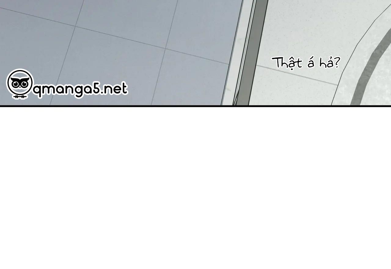 ám ảnh pheromone chapter 43 38