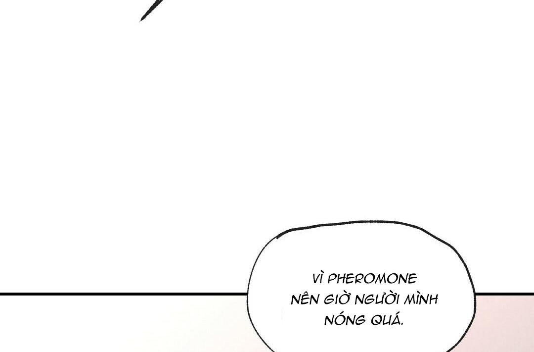 phức cảm tự ti của omega chapter 19 120