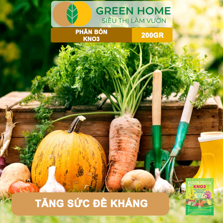 Phân Bón Lá KNO3 GreenHome, Gói 200gr, Nguyên Liệu Nhập Khẩu Israel, Kích Hoa, Đậu Quả Tốt