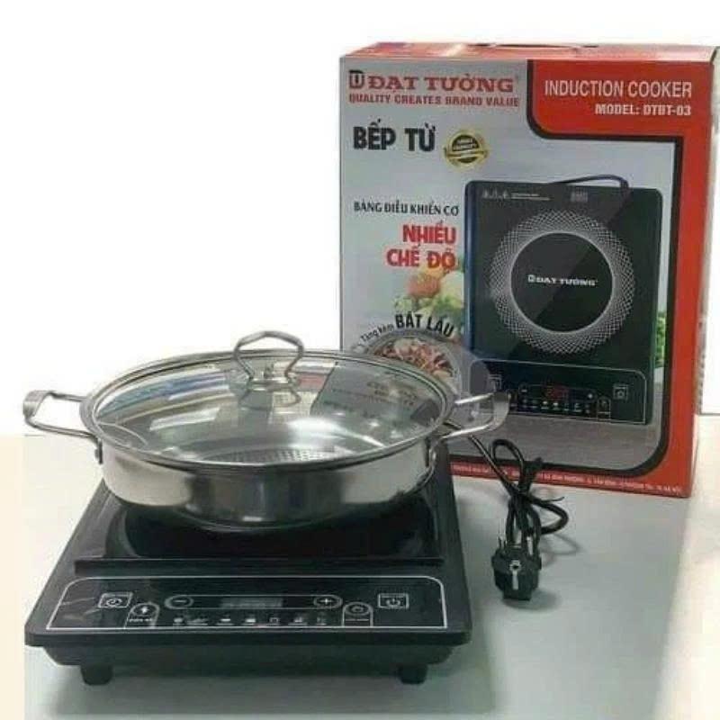 Bếp từ Đạt Tường chính hãng công suất 2000W, bếp điện từ 8 chế độ nấu đa năng, tặng kèm nồi lẩu 28cm