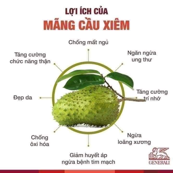 Cây giống mãng cầu xiêm cây ghép mắt nhanh cho trái