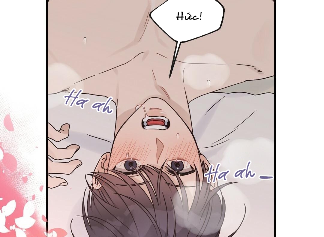 phức cảm tự ti của omega chapter 20 6