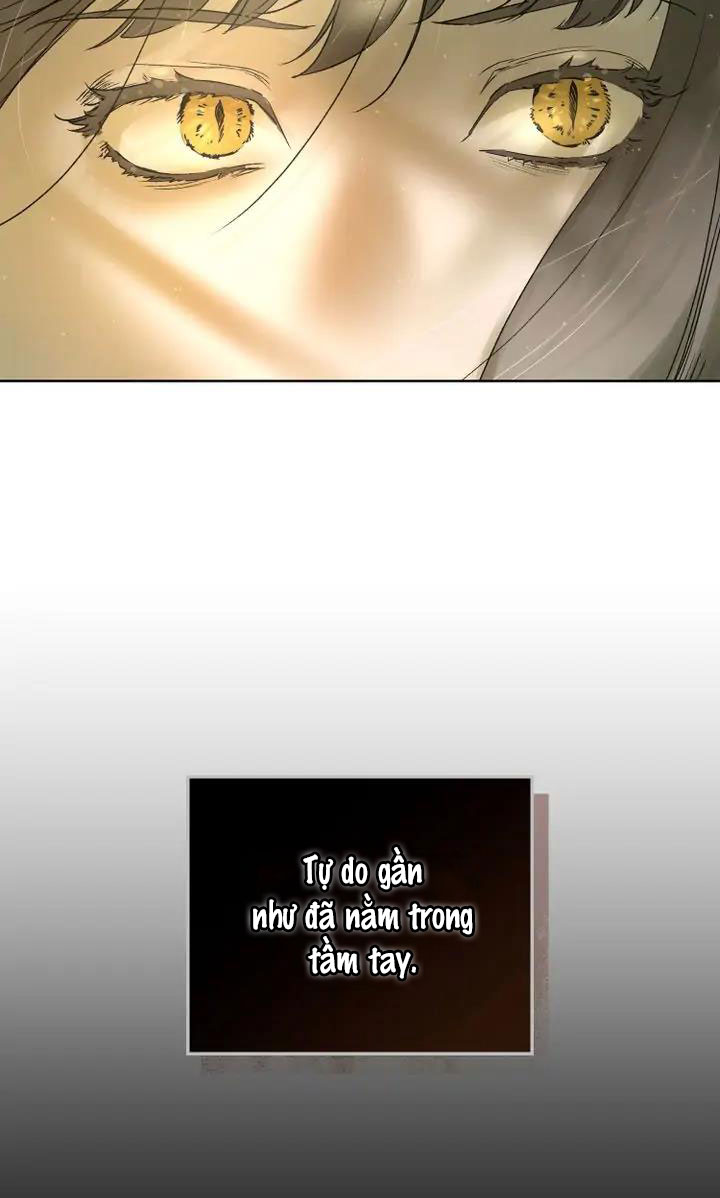 ảo ảnh trong đêm chapter 0.2 43