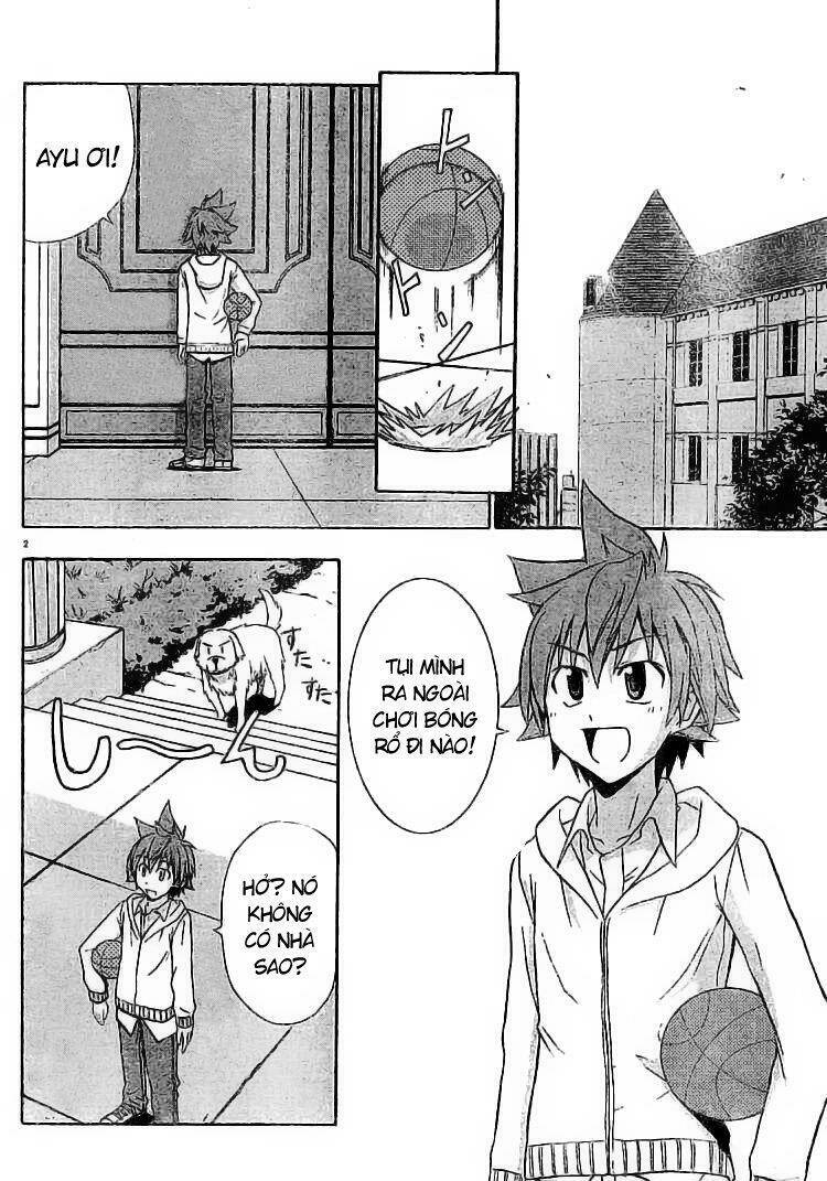 ayu mayu chapter 13 2