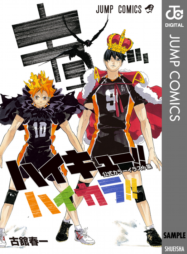 ハイキュー!!公式カラーイラスト集ハイカ JEISHI HAIKYUU ! ! KOUSHIKI KARA IRASUTO