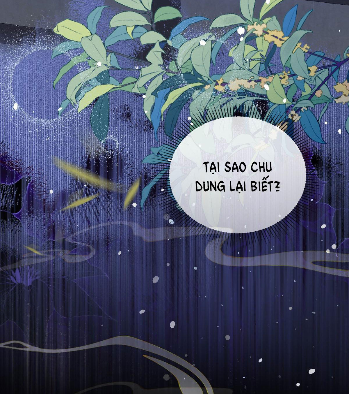 kiều dưỡng mỹ nhân điên chapter 4.1 4