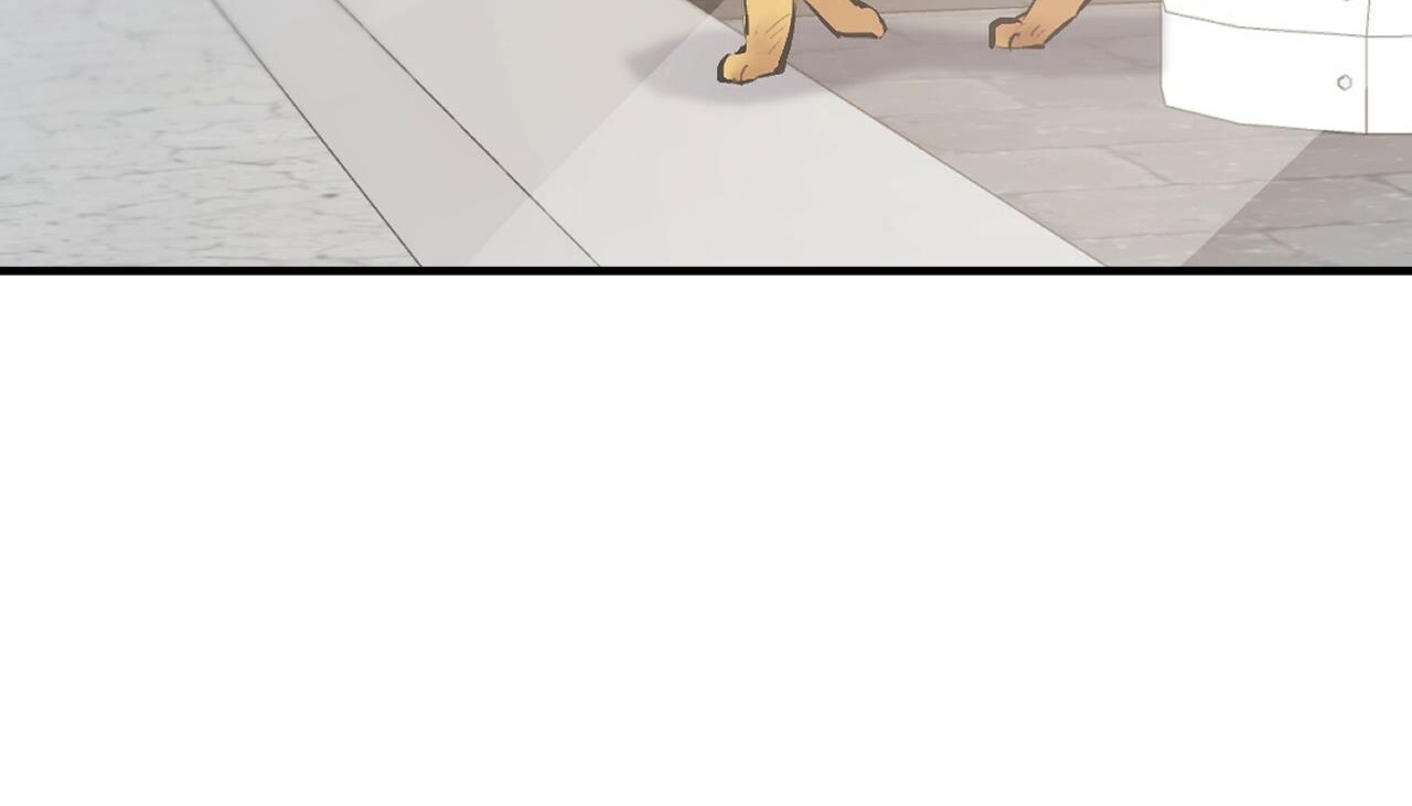 đàn thỏ của habibi chapter 50 117