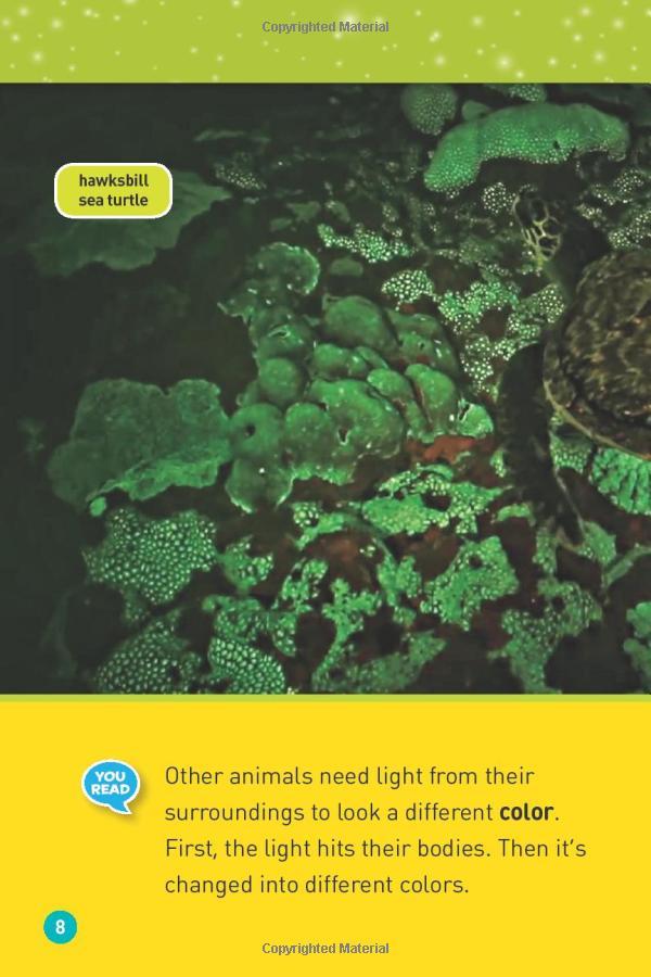 Glowing Animals (L1/Co-Reader) (National Geographic Readers)