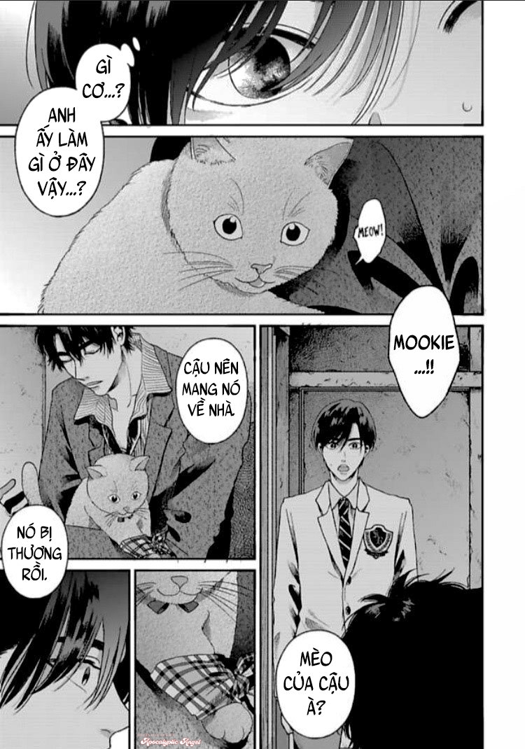 tạm biệt đồng phạm của tôi chapter 1 21