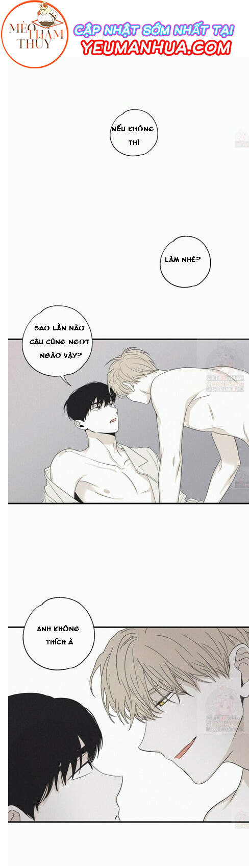 chiếu tướng chapter 16 11