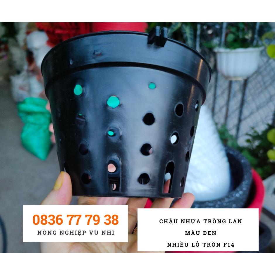 Chậu nhựa trồng lan màu đen nhiều lỗ tròn F14