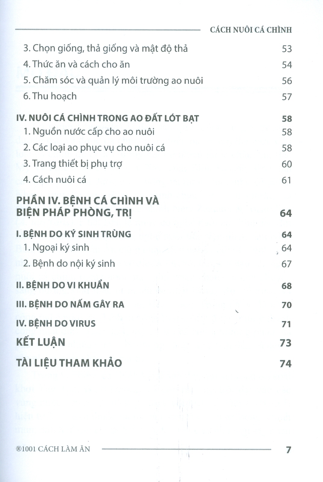 Cách Nuôi Cá Chình