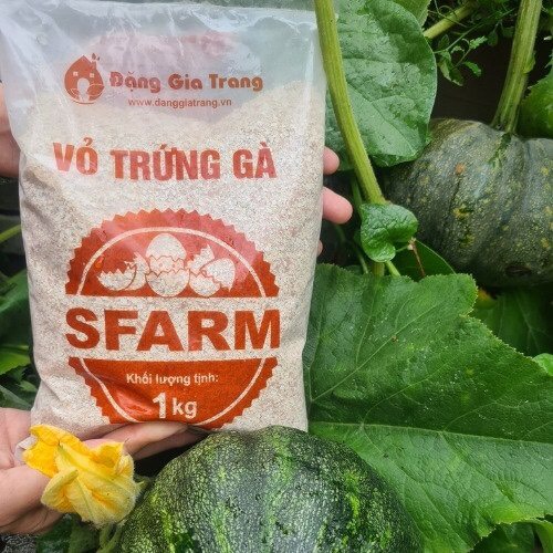 VỎ TRỨNG GÀ SFARM ĐÃ QUA XỬ LÝ - TÚI 1KG