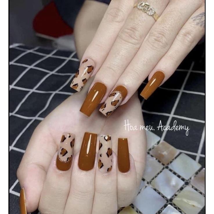 Nailbox thiết kế 022